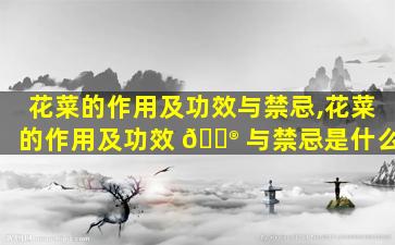 花菜的作用及功效与禁忌,花菜的作用及功效 💮 与禁忌是什么
